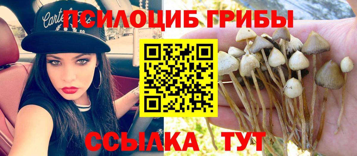 Галлюциногенные грибы Psilocybe  Вход с VPN  Копейск  Псилоцибиновые грибы MAGIC MUSHROOMS 