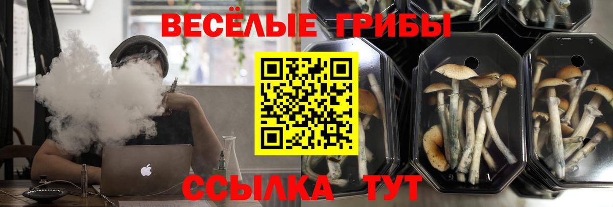 Галлюциногенные грибы ЛСД Копейск